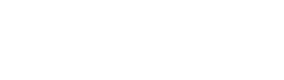 日本医療DX